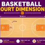 Basketball Court Dimensions: Complete Size Breakdown 2026 basketball-court-dimensions-size-breakdown